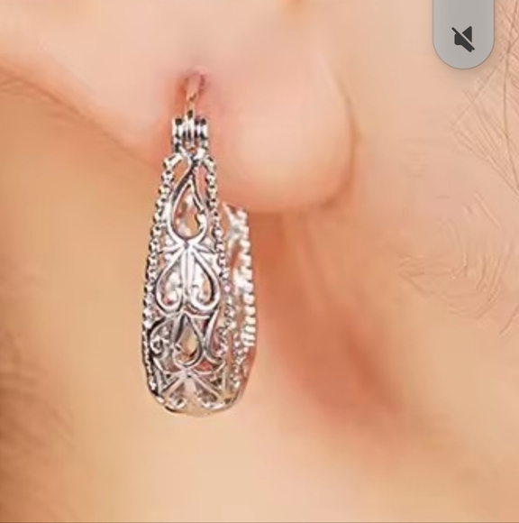 925sterling Silver Hoop Earrings - Picture 2 of 4